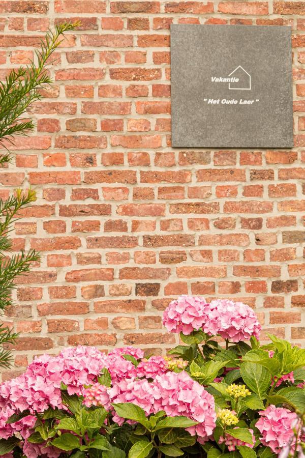 Vakantiewoning Het Oude Laer Bilzen Extérieur photo